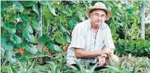  ??  ?? SALUD. El español que se dedica a cultivar plantas medicinale­s.