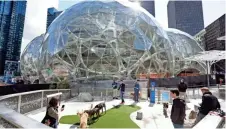  ?? ELAINE THOMPSON/AP ?? Amazon employees tend to their dogs in a canine play area at Amazon.com’s campus in downtown Seattle. Amazon is soliciting bids for a second headquarte­rs somewhere in the U.S.