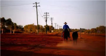  ??  ?? A stockman rides his horse as he leads another down a road towards the cattle yards in the outback town of Windorah, Queensland, Australia. Shareholde­r appetite for continuous profit growth and the widespread closure of rural bank branches have left...