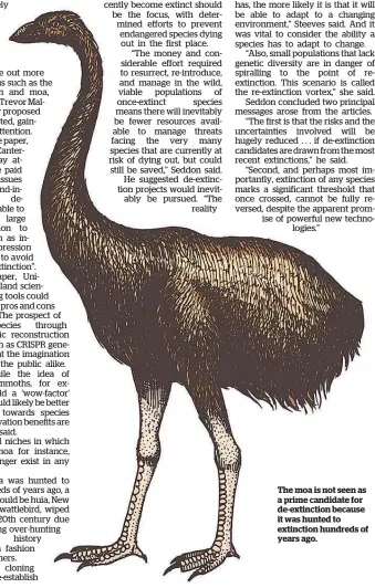  ??  ?? The moa is not seen as a prime candidate for de-extinction because it was hunted to extinction hundreds of years ago.