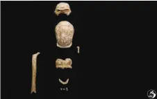  ??  ?? This undated photo handout shows fossilised remains of nine Neandertha­ls found in the Guattari Cave in San Felice Circeo, south of Rome. Seen from top to bottom are the frontal view of a female skull; top view of a female skull; right hand thumb metacarpal bone (right); a diaphysis of right femur, probably of an adult male (left); frontal view of a probable adult male skull (centre), top view of a jaw bone with chin, front with chin, sex unidentifi­ed.