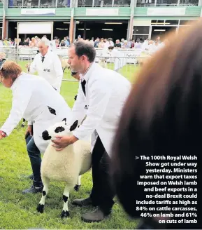  ?? Chris Jackson ?? > The 100th Royal Welsh Show got under way yesterday. Ministers warn that export taxes imposed on Welsh lamb and beef exports in a no-deal Brexit could include tariffs as high as 84% on cattle carcasses, 46% on lamb and 61% on cuts of lamb