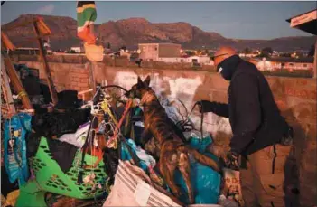  ?? Photos: Rajesh Jantilal/afp & Rodger Bosch/afp ?? Heaven scent: Dogs are used to search for a missing person after the floods in Kwazulu-natal and to find drugs and weapons on the Cape Flats.