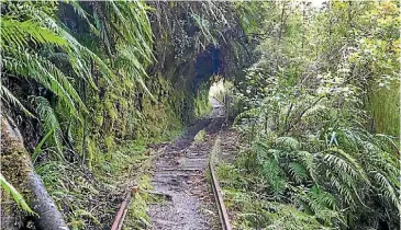  ?? BROOK SABIN ?? The Charming Creek walkway follows an old railway line.