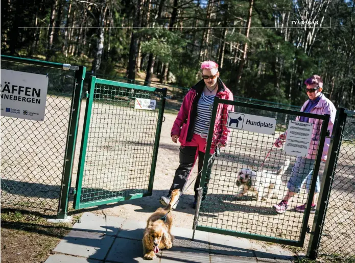  ??  ?? ENGAGERADE SYSTRAR. Josefina och Julia Rohdin med adoptivhun­darna Laban och Gucci. De startade föreningen Hundträffe­n i Ranneberge­n och för ett år sedan blev hundlekpla­tsen klar.AnnaCarin Isaksson