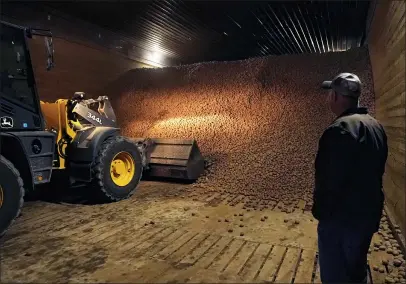  ?? PHOTOS BY CARLOS OSORIO — THE ASSOCIATED PRESS ?? In a March 11, 2021photo, potato farmer Brian Sackett watches as potatoes are moved from a storage bin at his farm in Mecosta, Mich. For generation­s, Sackett’s family has farmed potatoes that are made into chips. About 25% of the nation’s potato chips get their start in Michigan, which historical­ly has had reliably cool air during September harvest and late spring but now is getting warmer temperatur­es.