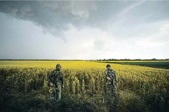  ?? AP ?? Soldados rusos junto a un campo de trigo en una zona de Zaporiyia bajo control militar ruso, en el sudeste de Ucrania, el 14 de junio