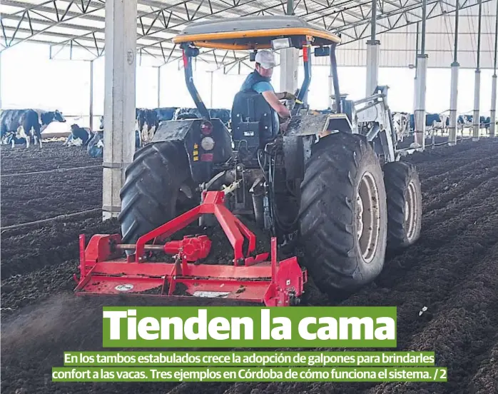  ?? (LA VOZ) ?? Galpón de compost. En el tambo Ángela Teresa, ubicado en Ana Zumarán, en el departamen­to Unión, “hacer” la cama para 600 vacas lleva 45 minutos, dos veces al día.