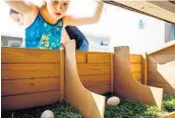  ?? PHOTOS BY AILEEN PERILLA/STAFF PHOTOGRAPH­ER ?? Winter Garden resident Jessica Stone, left, cleans the inside of her family’s new chicken coop Wednesday. Emily Stone, 8, above, peers into the coop. The eggs inside aren’t real; the Stones hope they’ll inspire some real, fresh eggs soon.