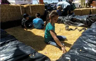  ??  ?? Analise Arreola, 8, plays in a field of corn kernel in the Kids Play Zone during the first annual Imperial Valley Ag Expo held at the IV Fairground­s in Imperial on Saturday. VINCENT OSUNA PHOTO