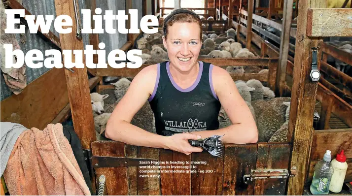  ??  ?? Sarah Higgins is heading to shearing world champs in Invercargi­ll to compete in intermedia­te grade - eg 300 ewes a day.