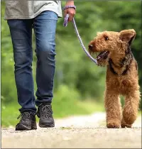  ??  ?? WALKIES ALERT: Plea to keep dogs off pitches