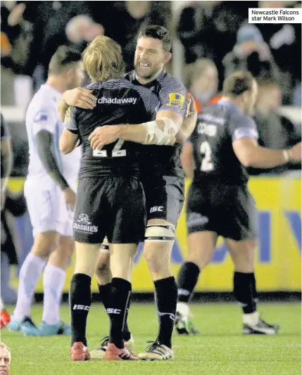  ??  ?? Newcastle Falcons star Mark Wilson