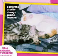  ??  ?? Samantha used to always cuddle Tabatha.