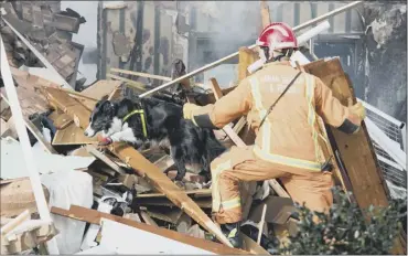  ??  ?? emergency services used rescue dogs to check for possible victims buried under the rubble