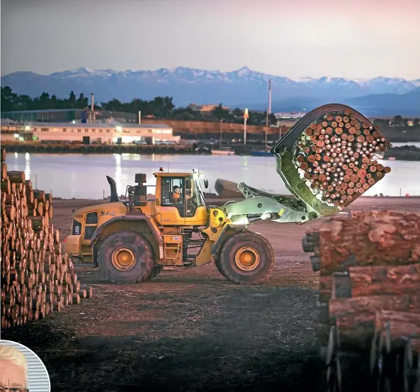  ?? JOHN BISSET/ STUFF ?? Work will continue at the Timaru logging yard even when an $8m upgrade project starts in June. PrimePort chief executive Phil Melhopt (inset) says it will involve the sealing off of four hectares of the log yard.