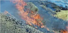  ??  ?? Incendio Forestal consumiend­o arbustos silvestres mientras los bomberos permiten su avance hacia el río Columbia