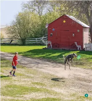  ?? JOLENE HIGBEE
Knox, North Dakota ?? 3
3. GOOD CATCH!
Our grandkids were playing with a Frisbee disc when Windsor the dog decided to get in on the fun.