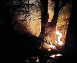  ?? ESPECIAL ?? II Las quemas son desde Salvatierr­a y aguas arriba cerca de los límites con Acámbaro por la zona de Chamácuaro.