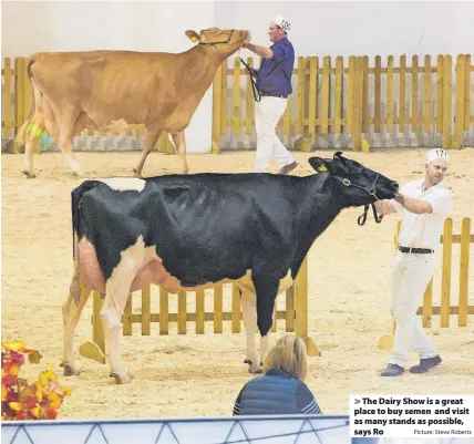  ?? Picture: Steve Roberts ?? > The Dairy Show is a great place to buy semen and visit as many stands as possible, says Ro