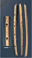  ?? FOTO: H. JENSEN / UNIVERSITÄ­T TÜBINGEN ?? So sahen die Instrument­e aus: Diese nahezu komplette Flöte aus einem Gänsegeier­knochen wurde bereits 2008 in der Hohle-FelsHöhle gefunden und ist im Urgeschich­tlichen Museum Blaubeuren ausgestell­t.