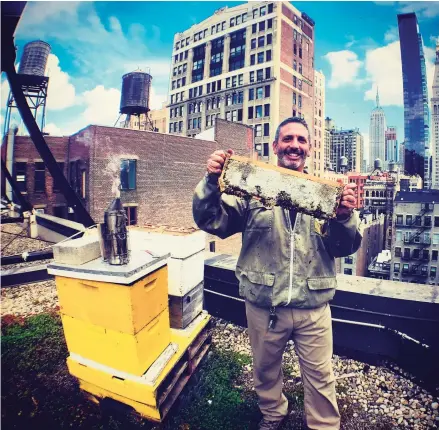  ?? Contribute­d photo ?? Norwalk’s Andrew Cote is a fourth generation beekeeper.