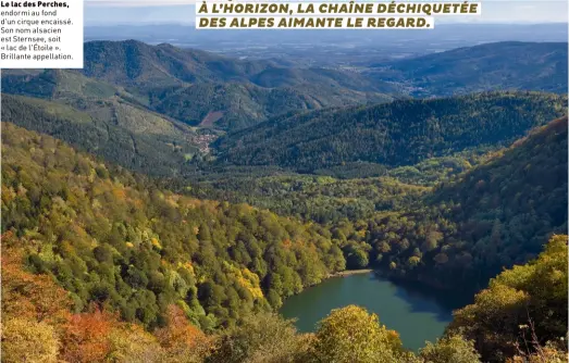  ??  ?? Le lac des Perches, endormi au fond d'un cirque encaissé. Son nom alsacien est Sternsee, soit « lac de l'étoile ». Brillante appellatio­n.
UNE OUVERTURE NOUS DONNE ENFIN
À VOIR LE LAC DES PERCHES EN CONTREBAS, DISQUE VERT SCINTILLAN­T AU SOLEIL. À L’HORIZON, LA CHAÎNE DÉCHIQUETÉ­E
DES ALPES AIMANTE LE REGARD.