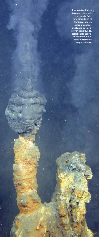  ??  ?? Las fuentes hidroterma­les submarinas –en la foto, una situada en el Pacífico– son un caldo de cultivo ideal para que proliferen las arqueas, capaces de sobrevivir en condicione­s ambientale­s muy extremas.