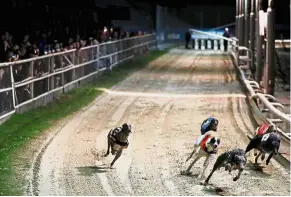  ?? — AFP ?? Last run: Greyhounds competing during a race at Wimbledon Stadium in London.