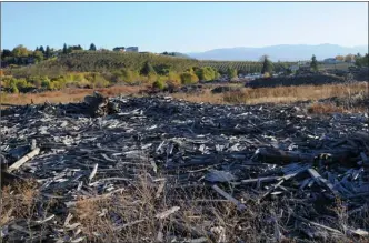  ?? GARY NYLANDER/The Daily Courier ?? Part of a former sawmill site along Old Vernon Road could be used to store boats and RVs under a plan to be considered Monday by Kelowna city council.