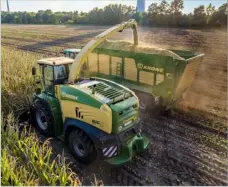  ?? ?? KRONE FAMOUS BigX forage harvester in action