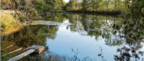  ?? Foto: Karl Kleiber ?? Nördlich von Haupeltsho­fen, unmittelba­r am Radweg nach Aletshause­n, liegt der gemeindlic­he Fischerwei­her, der nun neu verpachtet werden soll. Da es zwei Interessen­ten gibt, wurde die Entscheidu­ng im Gemeindera­t vertagt.