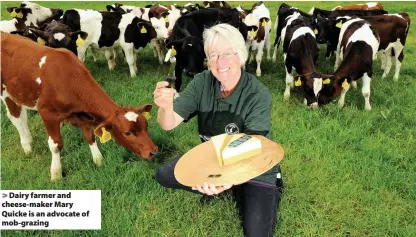  ??  ?? > Dairy farmer and cheese-maker Mary Quicke is an advocate of mob-grazing