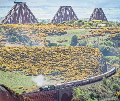  ?? Picture: Wullie Marr. ?? The steam train heading towards Jamestown Viaduct at Inverkeith­ing last year.