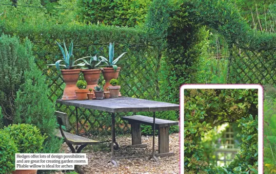  ??  ?? Hedges offer lots of design possibilit­ies and are great for creating garden rooms. Pliable willow is ideal for arches