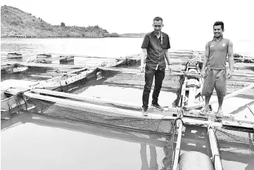  ??  ?? Suhaily and his worker observing the fish at his farm.