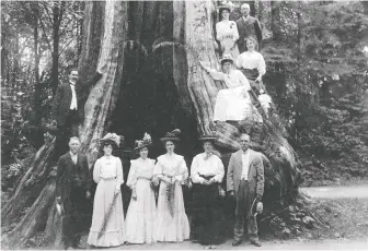  ?? CITY OF VANCOUVER ARCHIVES ?? A group portrait at the Hollow Tree, taken between 1905 and 1907.