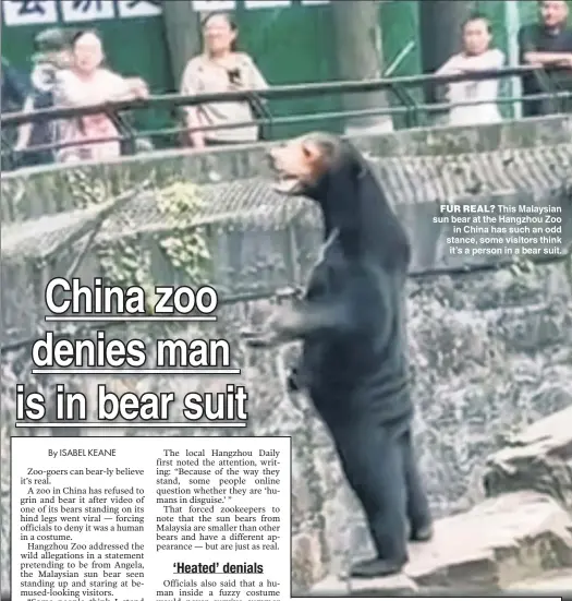  ?? ?? FUR REAL? This Malaysian sun bear at the Hangzhou Zoo in China has such an odd stance some visitors think it’s a person in a bear suit.