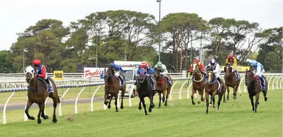  ?? Photo: Nev Madsen ?? WINNING RIDE: Mishani Wrangler and jockey Nozi Tomizawa race to an easy victory in Satuday’s Benchmark 60 Handicap at Clifford Park.