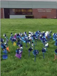  ?? PHOTO COURTESY MADISON-ONEIDA BOCES ?? Blue pinwheels decorate the Madison-Oneida BOCES lawn as part of Child Abuse Awareness Day on April 29.