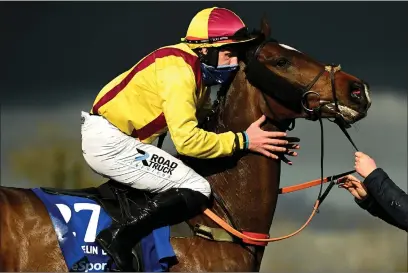  ??  ?? Jockey Ricky Doyle celebrates astride Freewheeli­n Dylan after winning the Irish Grand National yesterday