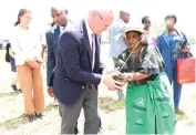  ?? ?? First Lady Dr Auxillia Mnangagwa hands over a tree to Swedish Ambassador to Zimbabwe Mr Per Lindgarde during a tree planting programme at Chitemamus­we Primary School in Muzarabani yesterday