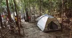  ??  ?? Berkhemah di hutan janjikan pengalaman indah.