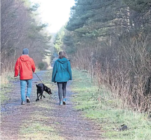  ??  ?? HABITAT: There are concerns for the future of Montreathm­ont Forest, near Brechin, and other ancient woodlands. Picture by Gareth Jennings.