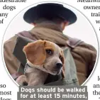  ??  ?? Dogs should be walked for at least 15 minutes, twice a day