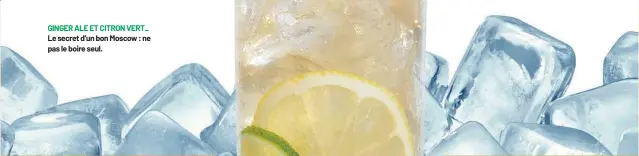  ??  ?? GINGER ALE ET CITRON VERT_
Le secret d’un bon Moscow : ne pas le boire seul.