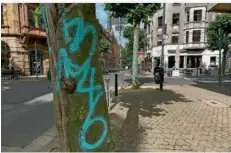  ?? FOTOS (2): THOMAS SCHÄFER ?? Im Nauwieser Viertel in Saarbrücke­n sind mehrere Bäume mit den Schmierere­ien verunstalt­et worden.