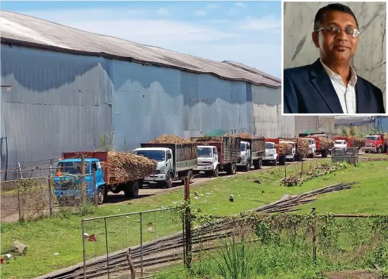  ?? Photo: Nicolette Chambers ?? Cane trucks lined up at the Lautoka Mill on November 8, 2022.
