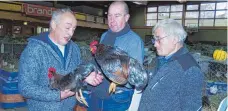  ?? FOTO: KARL-HEINZ KIRCHMAIER ?? Die Züchter finden sich beim Fachgesprä­ch.