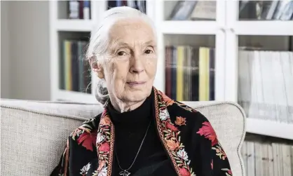  ?? Photograph: Ibl/ Shuttersto­ck ?? Jane Goodall said the $1.5m prize money would make a huge difference to her institute’s programmes around the world.